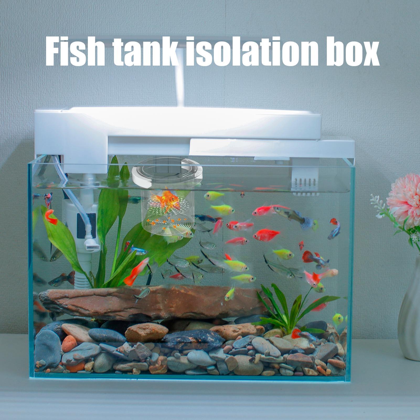 Aquarium Fish Betta - Boîte de reproduction pour poissons, boîte