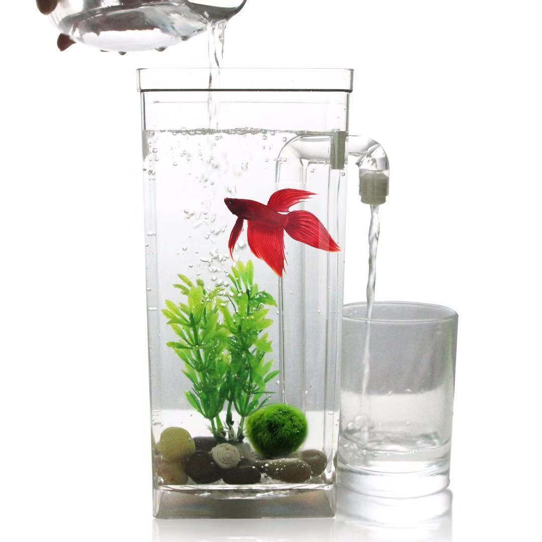 Aquarium Fish Betta - Paresseux changement d'eau gratuit bureau Aquarium