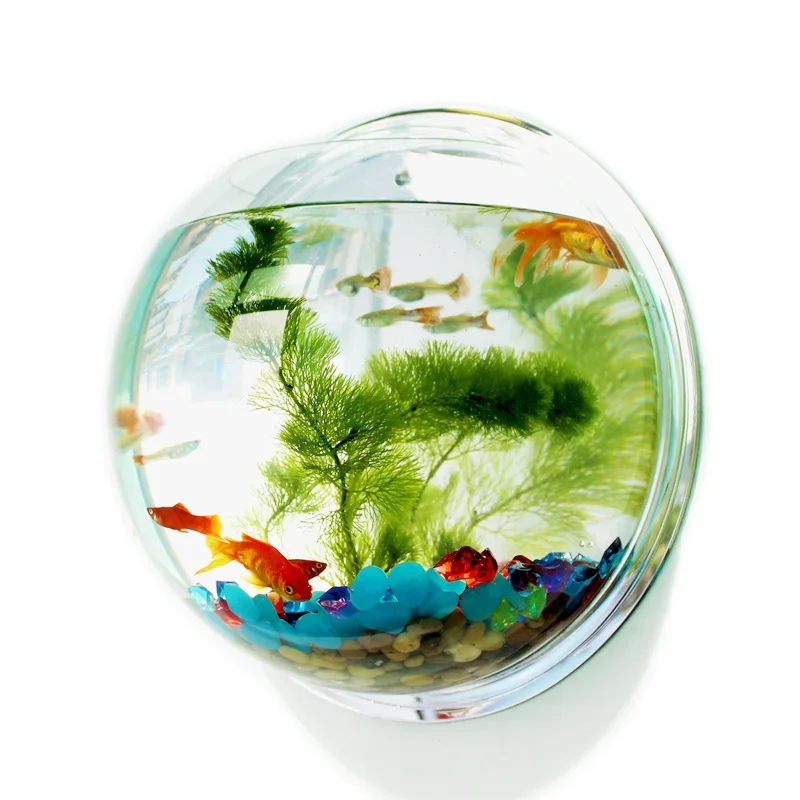 Aquarium Fish Betta - PinsFIGs-Filles mural en acrylique pour aquarium,