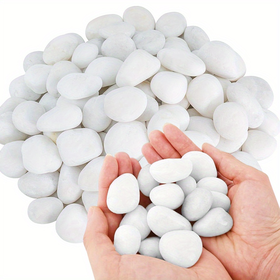 Fish Aquarium Home - Cerfsets naturels blancs hautement polis, 200/400g,