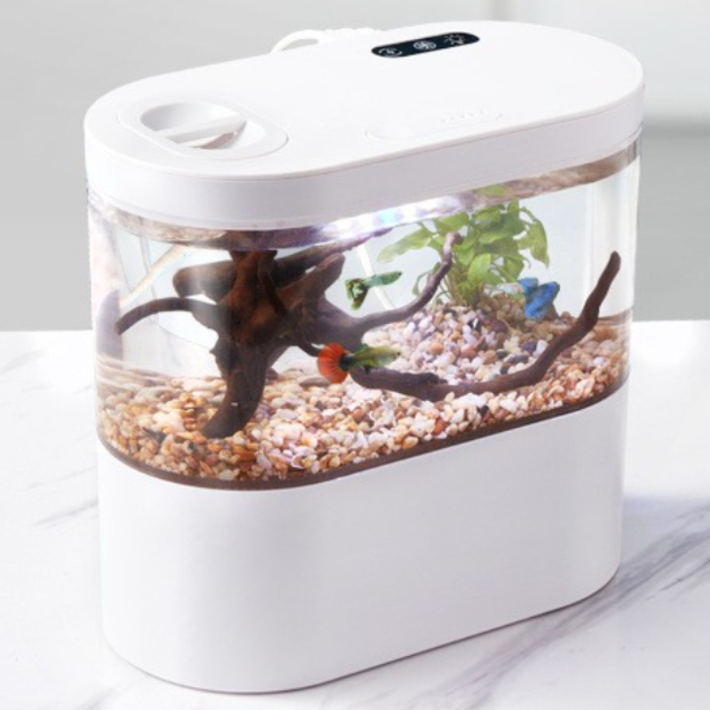 Aquarium Fish Betta - Mini aquarium de bureau créatif avec