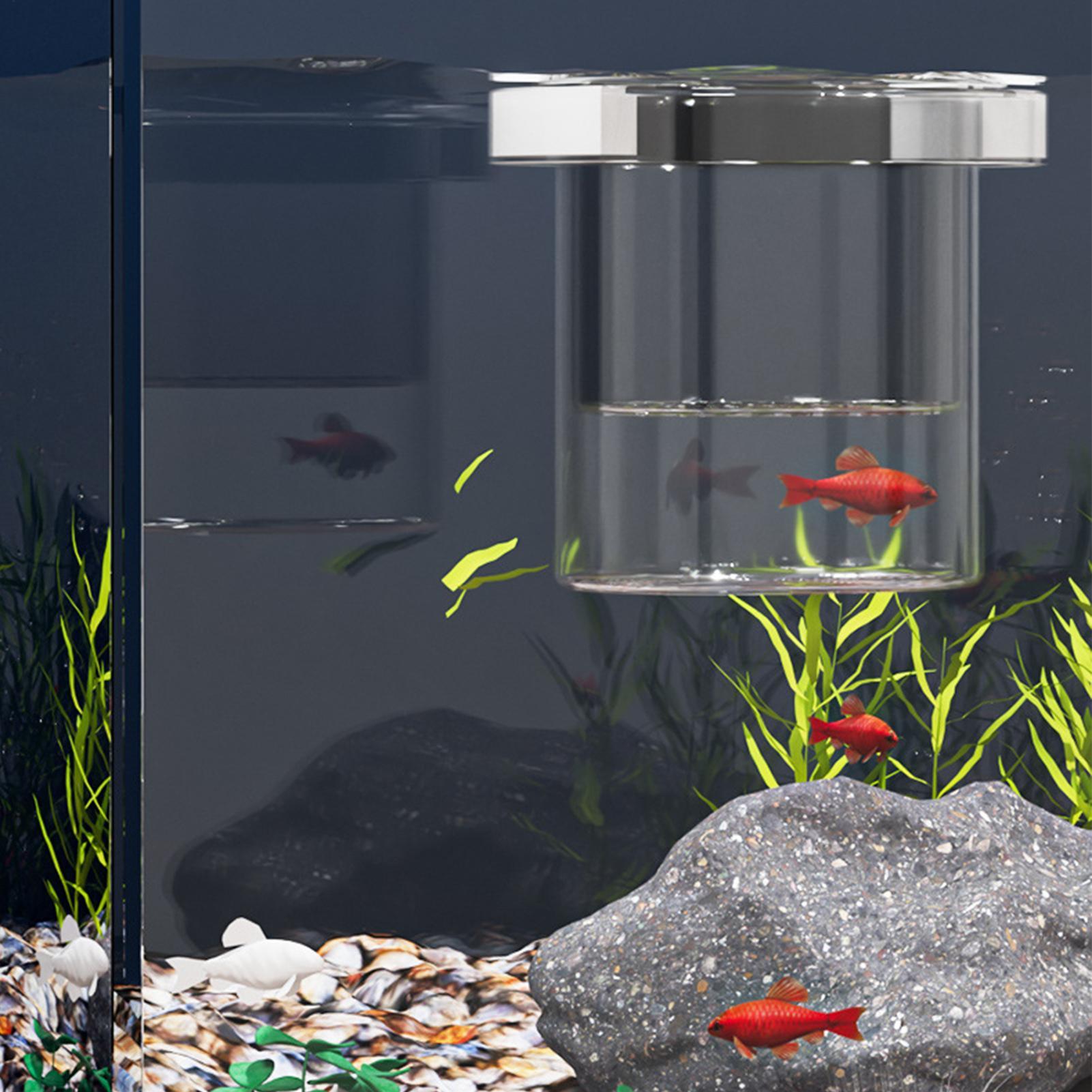Boîte de reproduction pour poi - Aquarium Fish Betta avis et prix