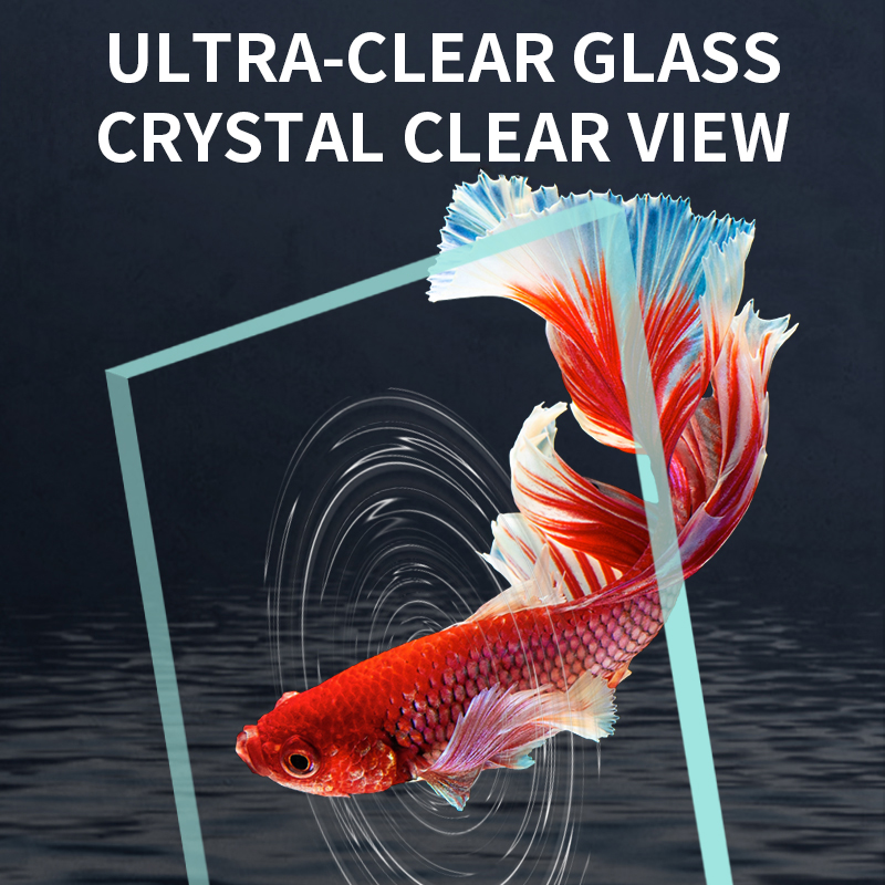 Nouvel aquarium en verre ultra - Betta Fish Tank avis et prix
