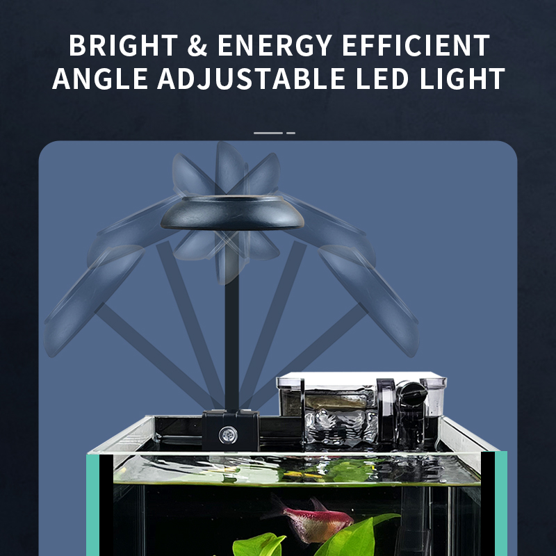 Nouvel aquarium en verre ultra - Betta Fish Tank avis et prix