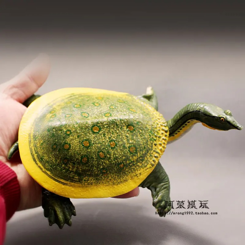 Cuirback tortue aux oreilles r - Aquarium Decor avis et prix