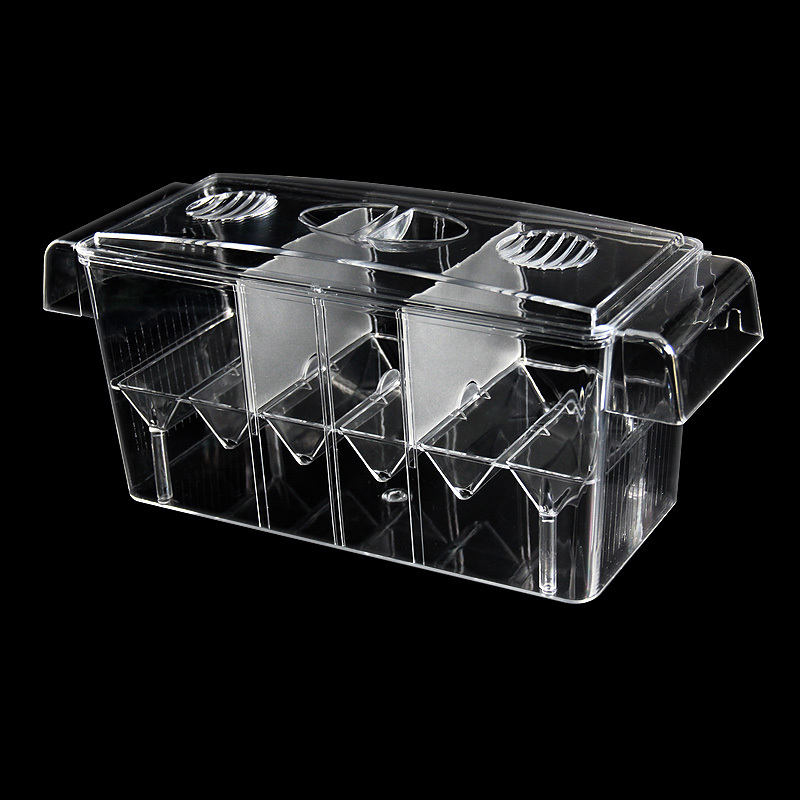 Boîte d'isolation transparente - Aquarium Fish Betta avis et prix
