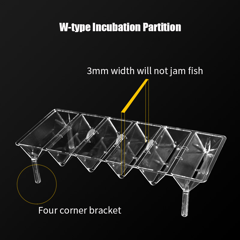 Boîte d'isolation transparente - Aquarium Fish Betta avis et prix