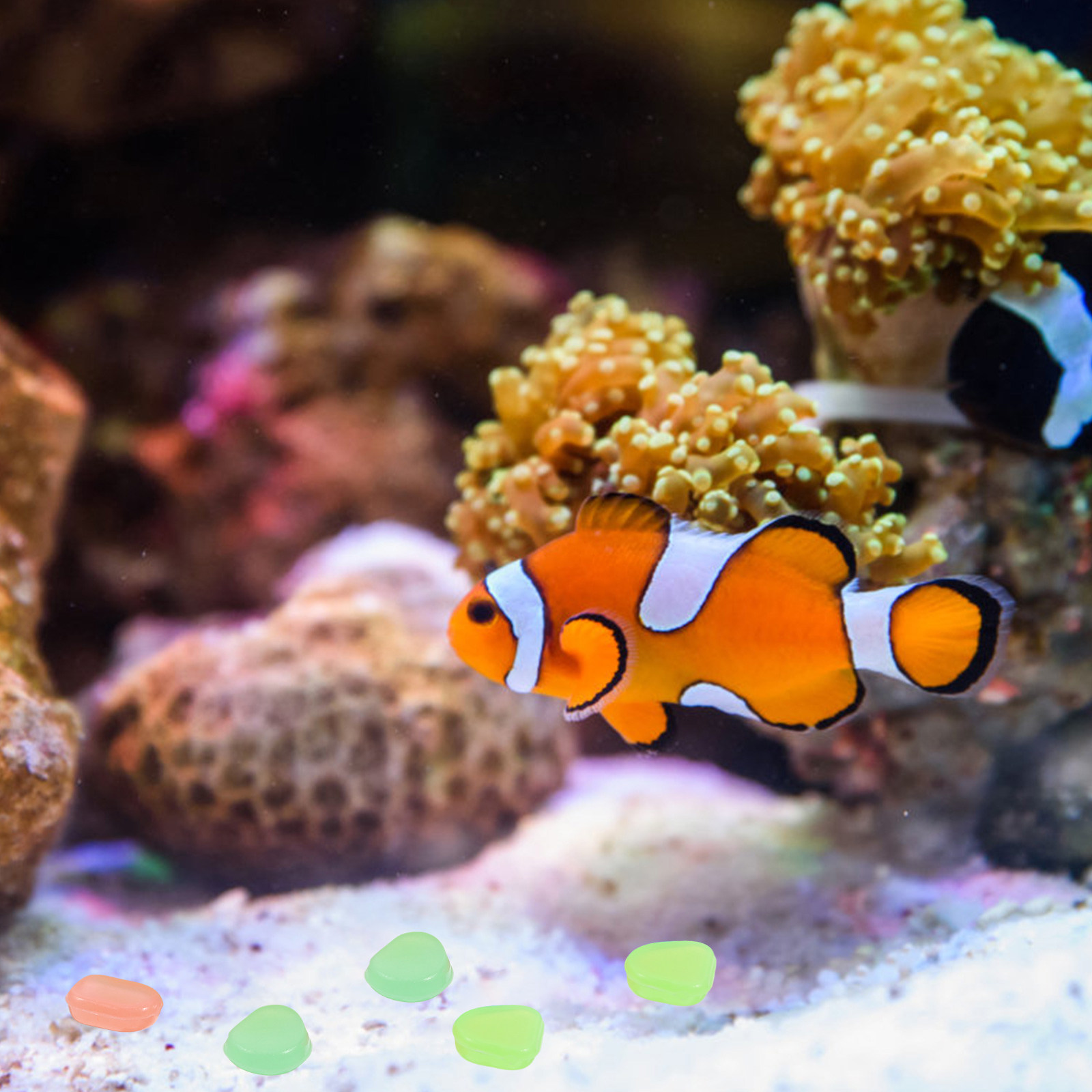 400 pièces de galets phosphore - Fish Tank Gravel avis et prix