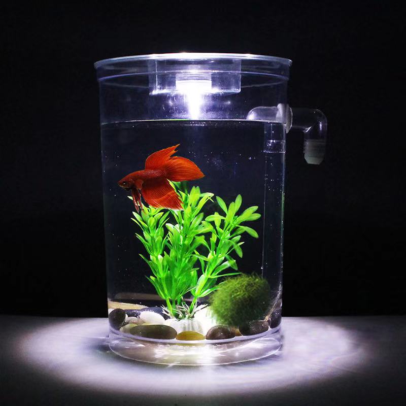 Paresseux changement d'eau gra - Aquarium Fish Betta avis et prix