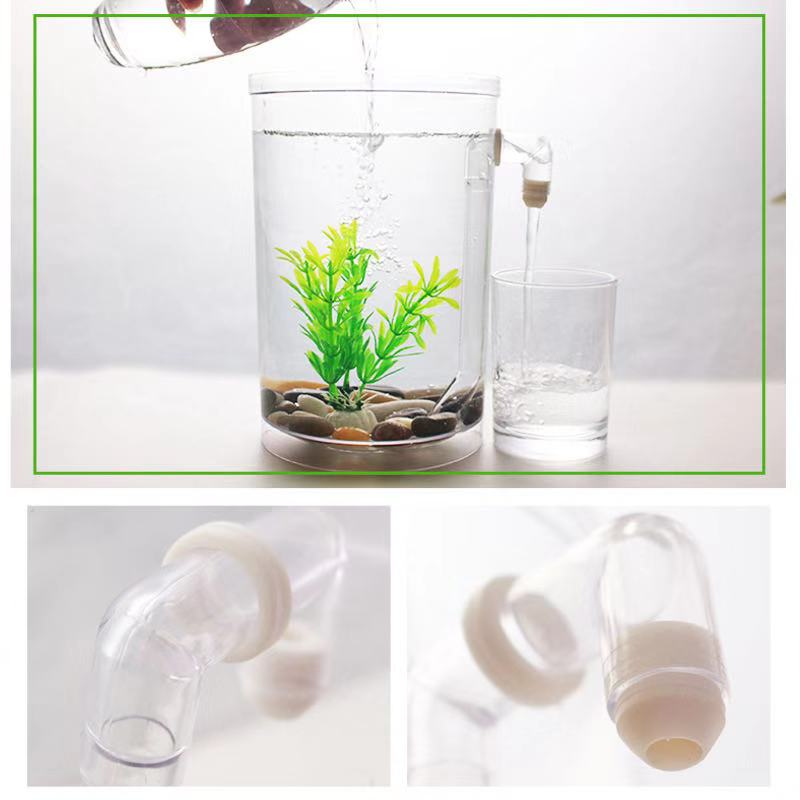 Paresseux changement d'eau gra - Aquarium Fish Betta avis et prix