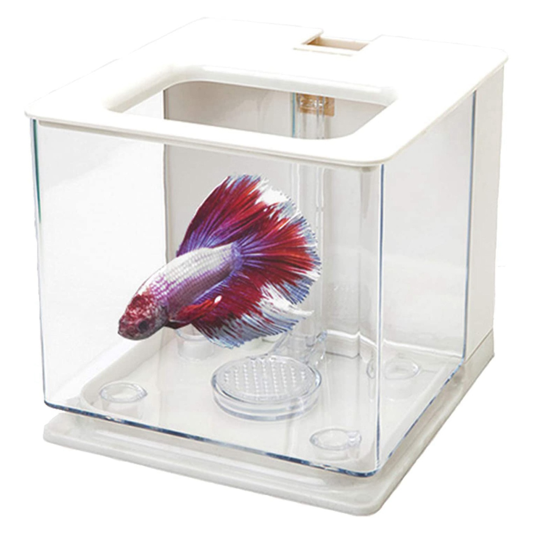 Aquarium pour poissons Betta A - Betta Fish Tank avis et prix