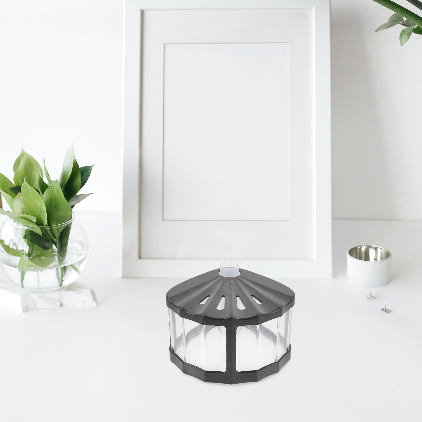 Mini aquarium portable, bol en - Aquarium Fish Betta avis et prix