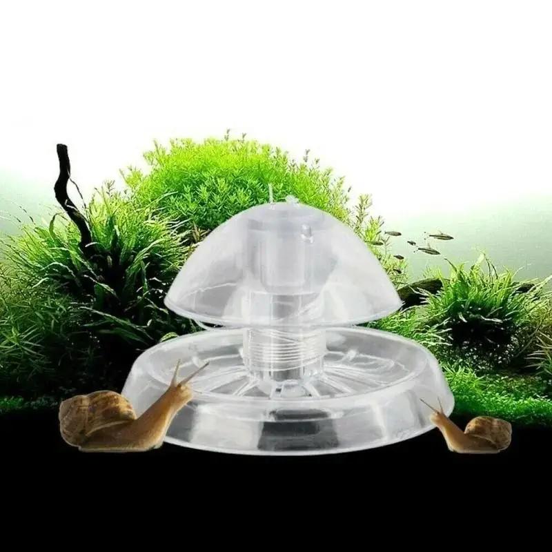 Nouvelle boîte piège à escargo - Fish Aquarium Home avis et prix