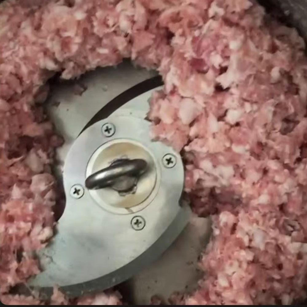 Broyeur Électrique Commercial  - Fish Food avis et prix