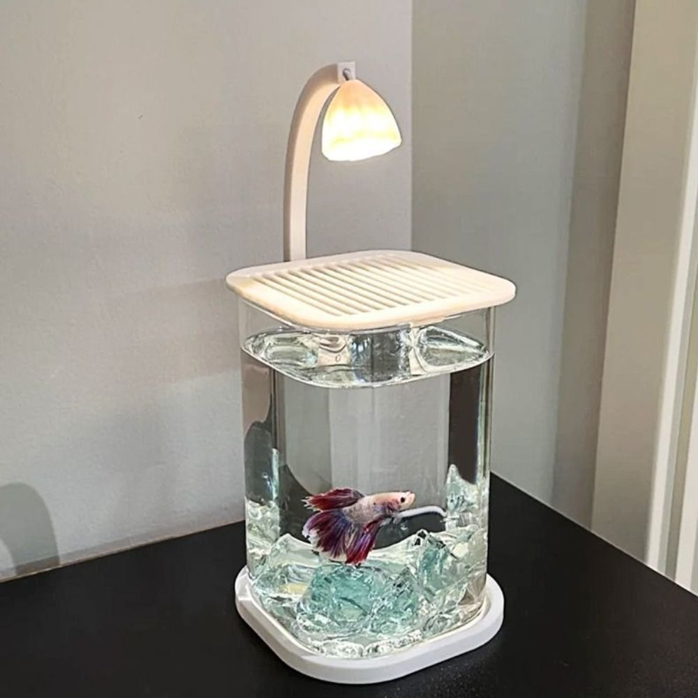 Aquarium de paysage en acryliq - Betta Fish Tank avis et prix