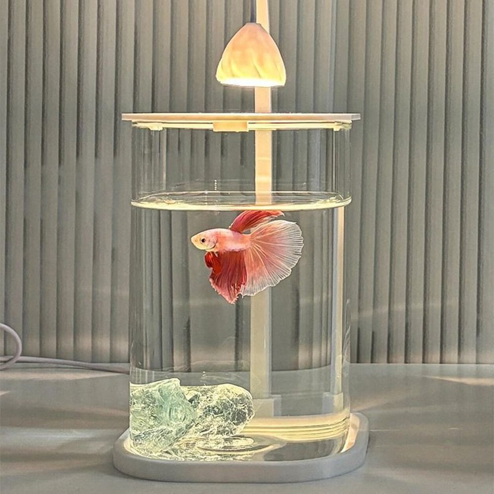 Aquarium de paysage en acryliq - Betta Fish Tank avis et prix