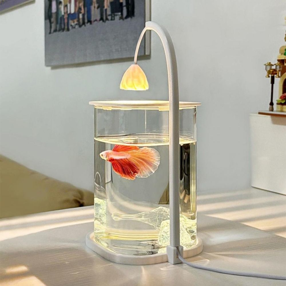 Aquarium de paysage en acryliq - Betta Fish Tank avis et prix