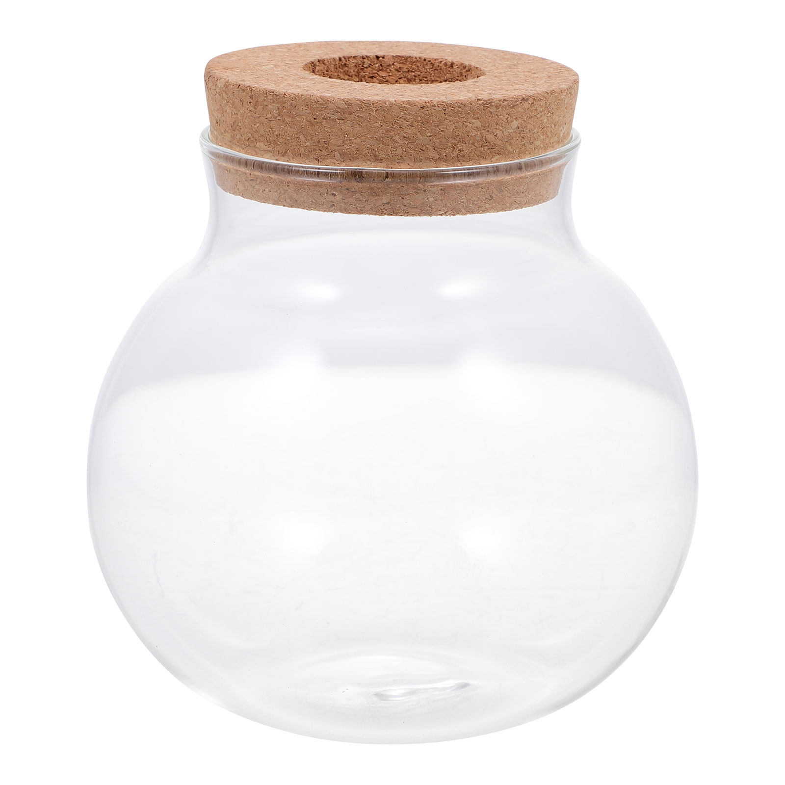 Petit terrarium de micro-paysa - Aquarium Fish Keeping avis et prix