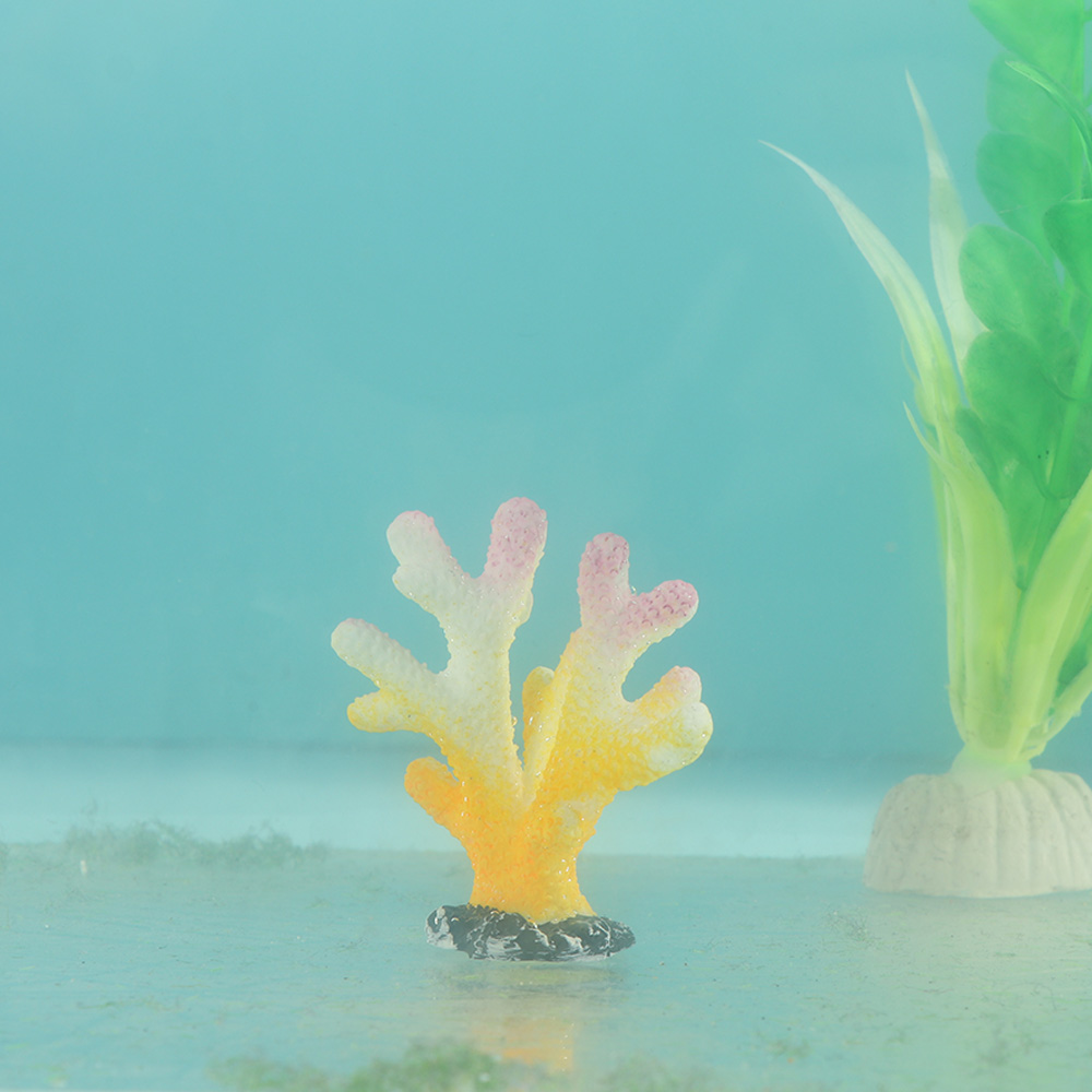 Ornements en résine d'étoile d - Fish Tank Gravel avis et prix
