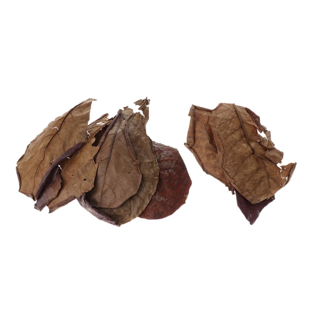 Additif filtrant pour aquarium - Aquarium Fish Betta avis et prix