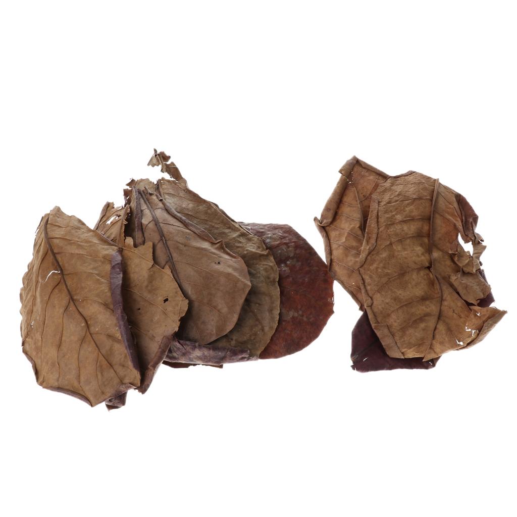 Additif filtrant pour aquarium - Aquarium Fish Betta avis et prix