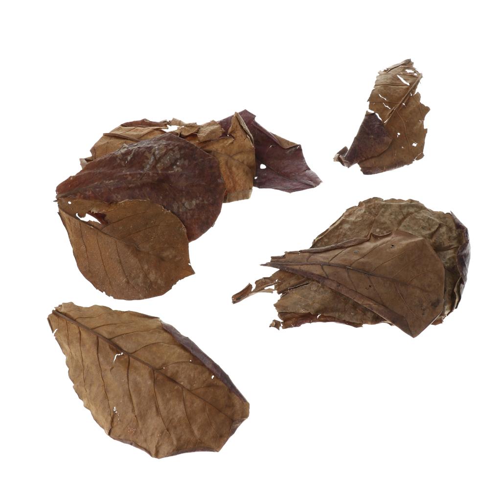 Additif filtrant pour aquarium - Aquarium Fish Betta avis et prix