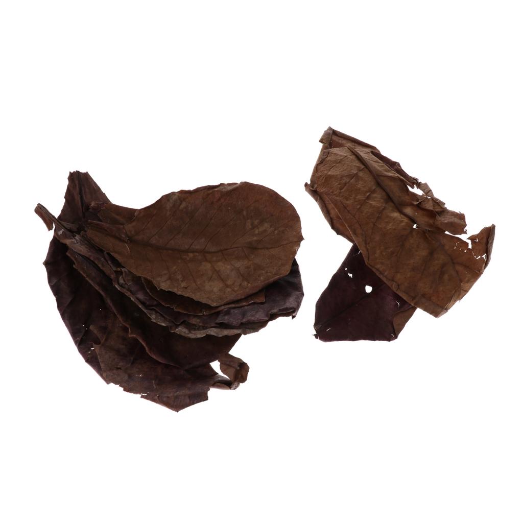 Additif filtrant pour aquarium - Aquarium Fish Betta avis et prix