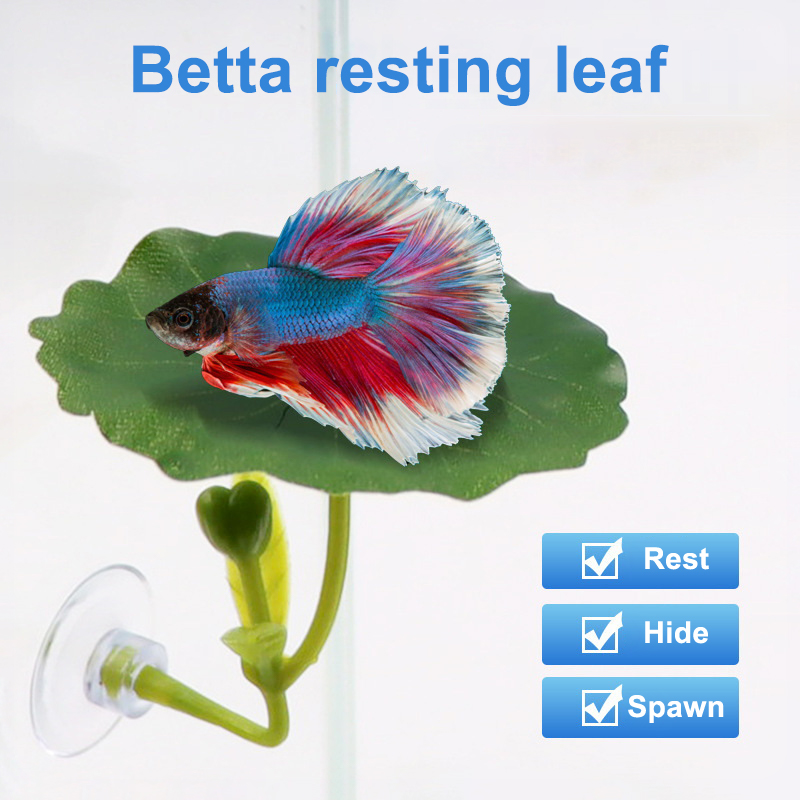 (Ce14)1/5PC Hamac à feuilles v - Aquarium Fish Betta avis et prix