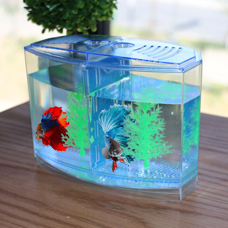 Boîte d'isolation de poisson e - Aquarium Fish Keeping avis et prix