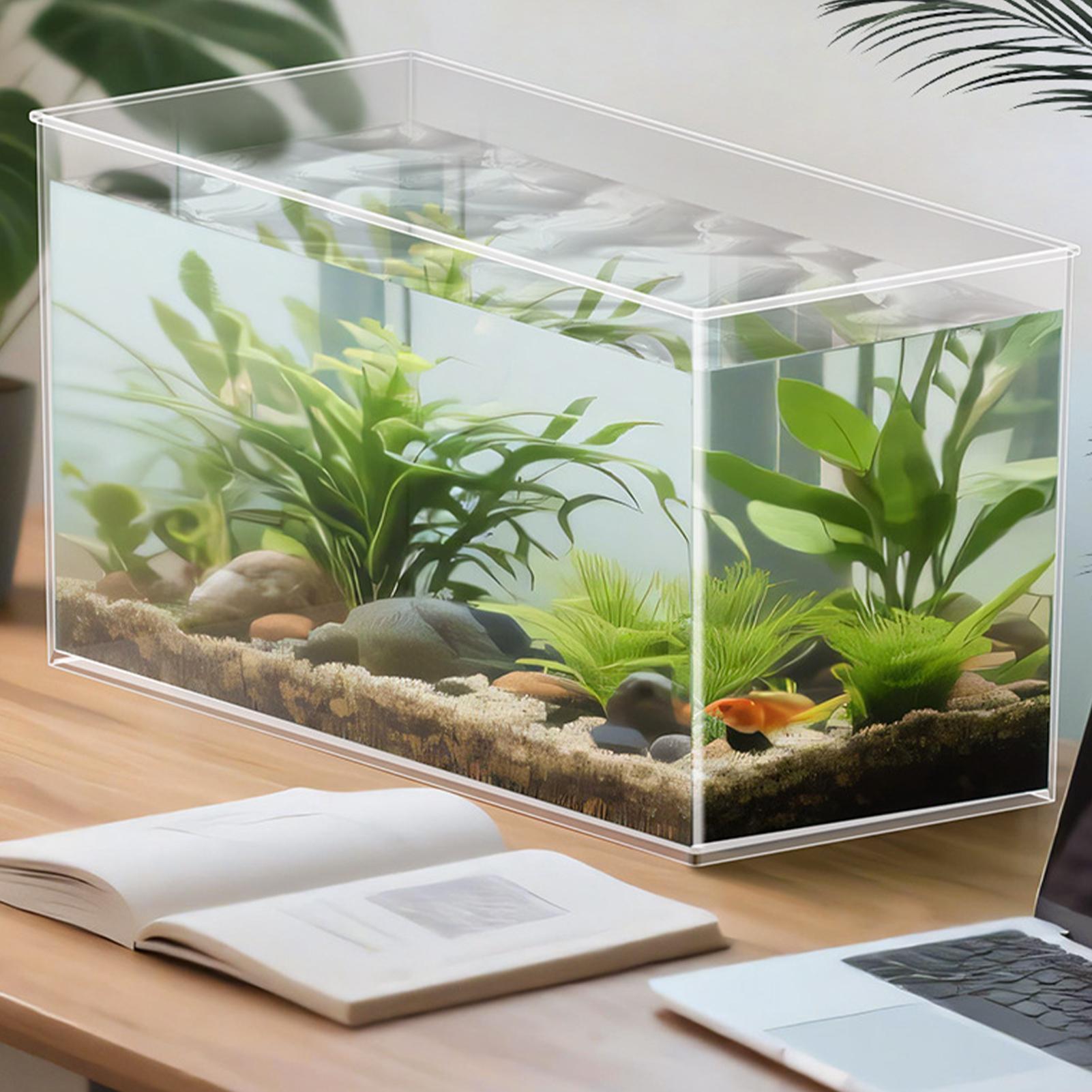 Mini aquarium pour betta en ve - Betta Fish Tank avis et prix