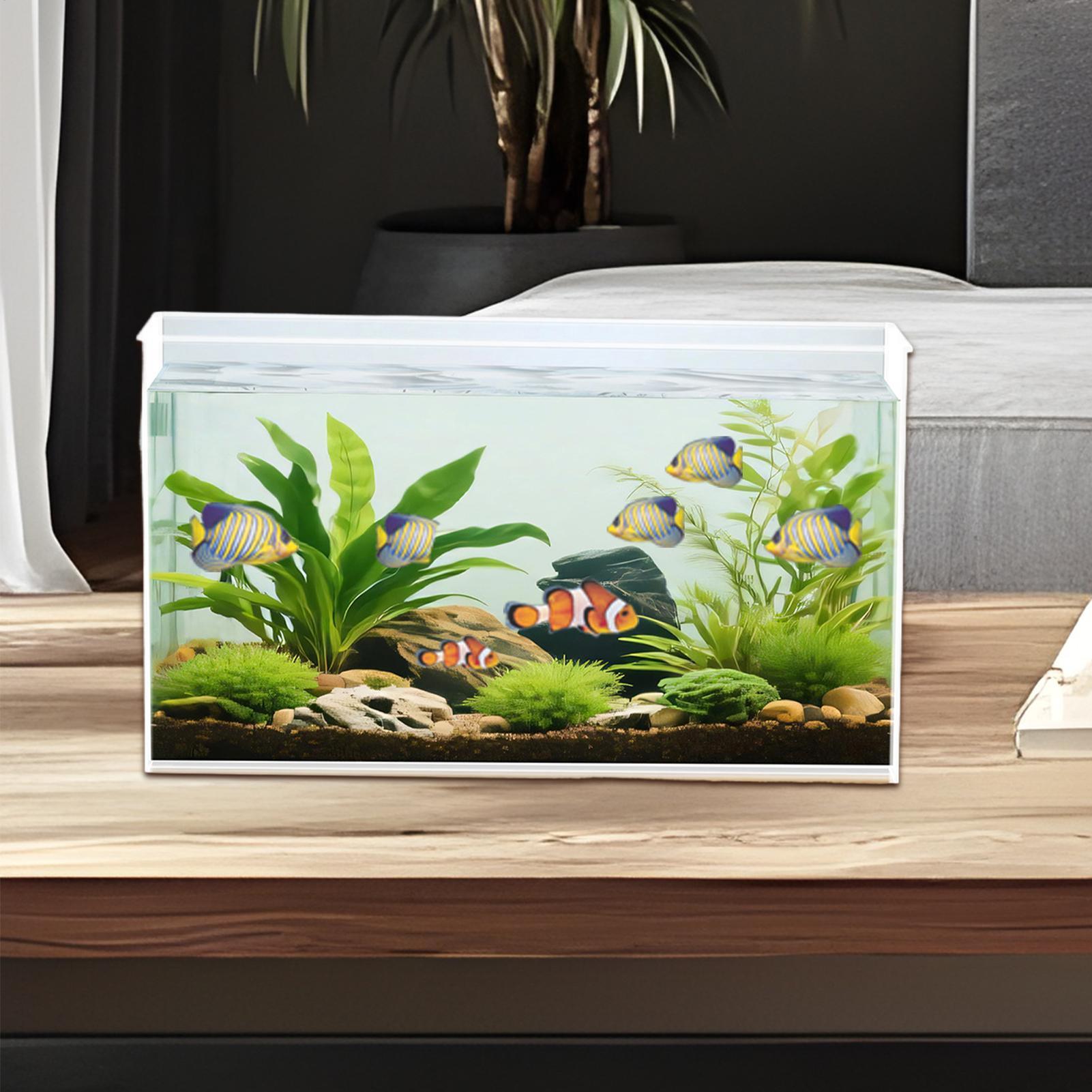 Mini aquarium pour betta en ve - Betta Fish Tank avis et prix