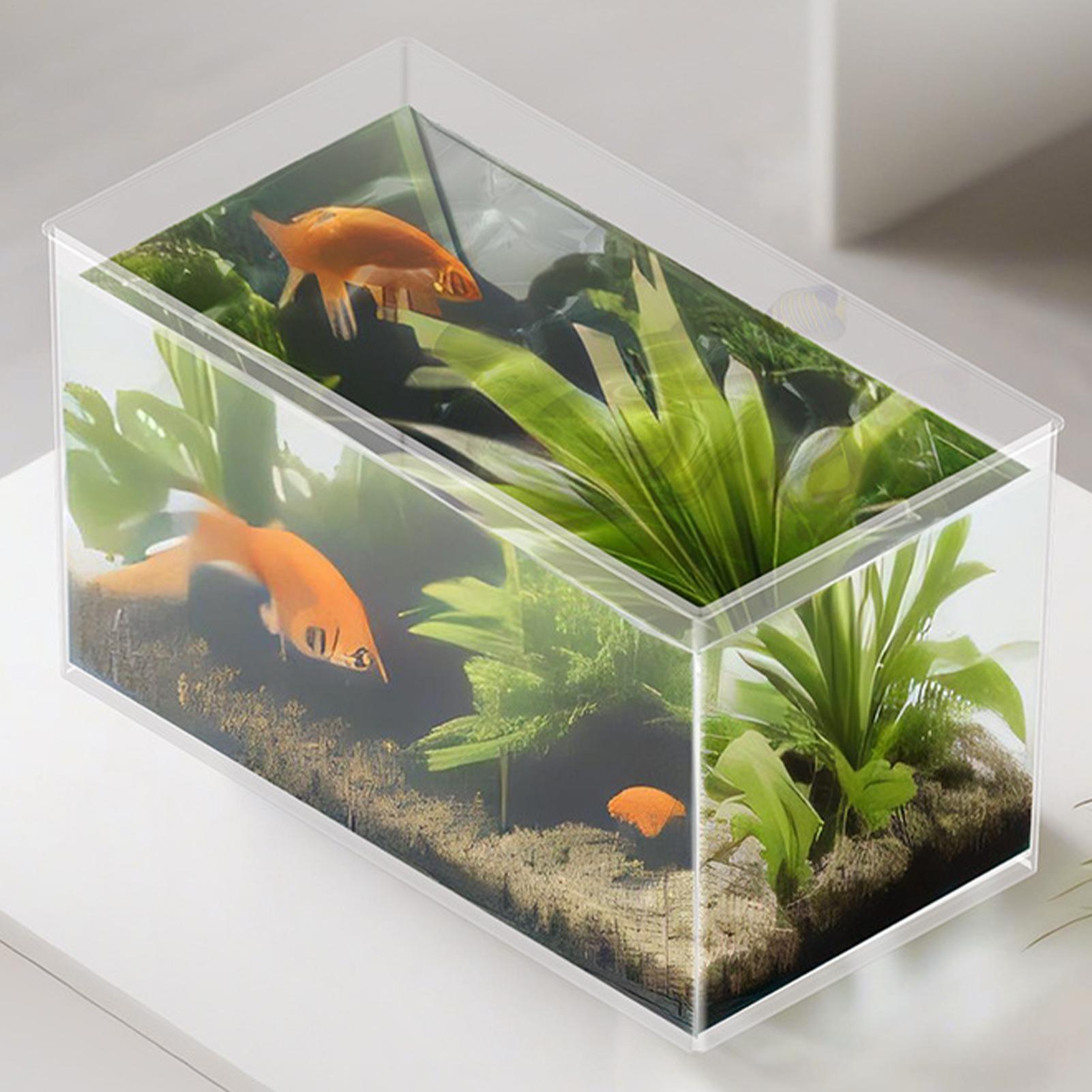 Mini aquarium pour betta en ve - Betta Fish Tank avis et prix
