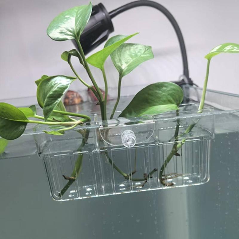 Panier hydroponique pour plant - Fish Food avis et prix