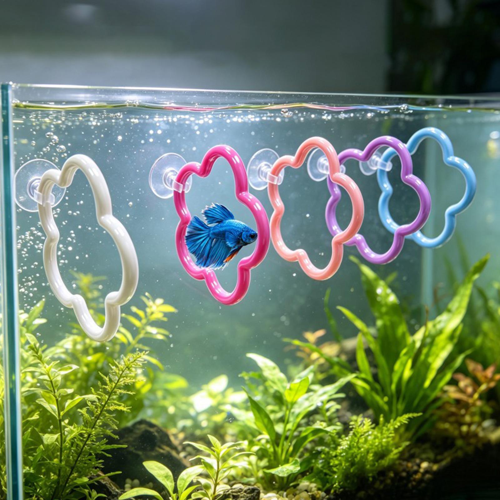 Jouets pour poissons Betta, 5  - Aquarium Fish Betta avis et prix