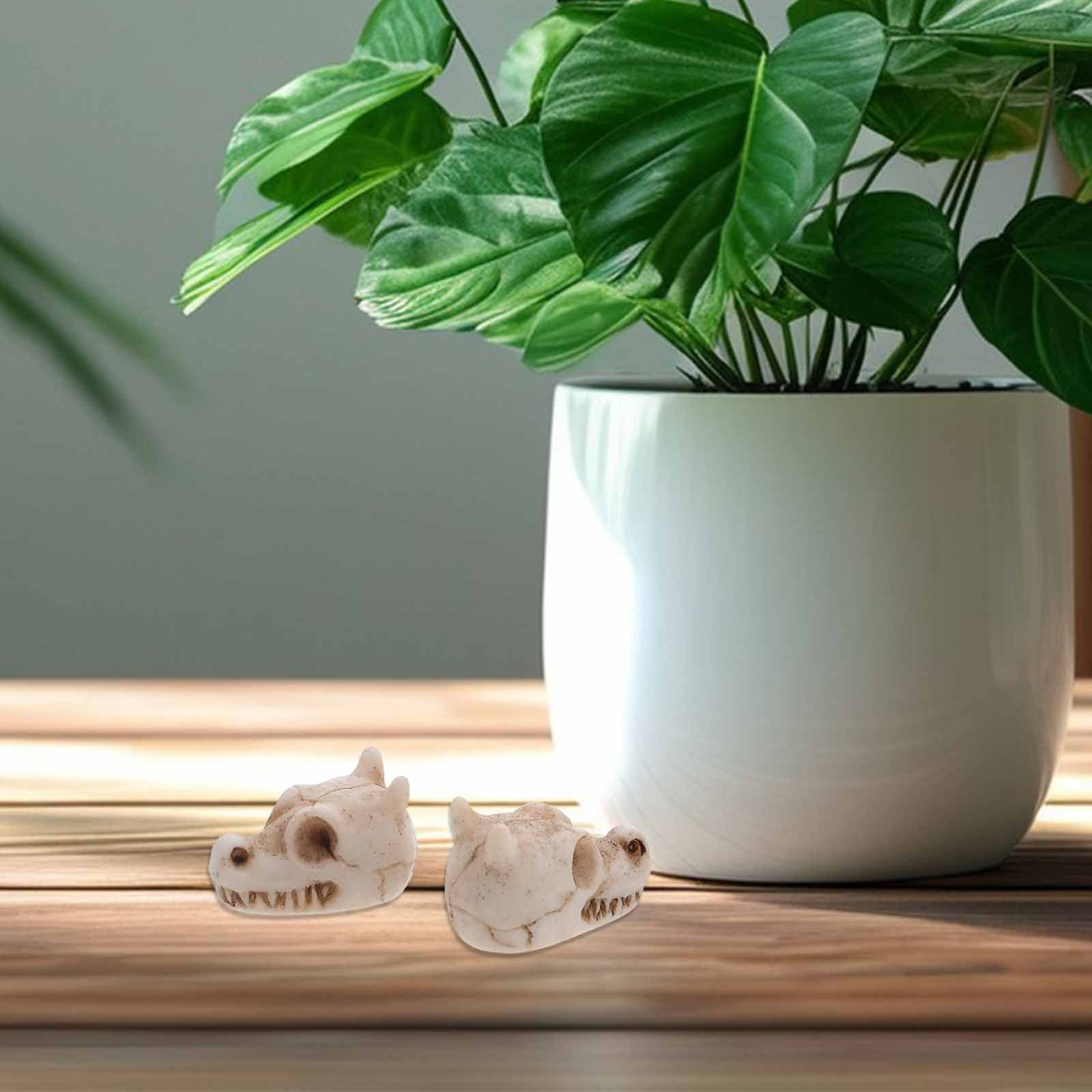 20 pièces, mini décorations de - Aquarium Decor avis et prix