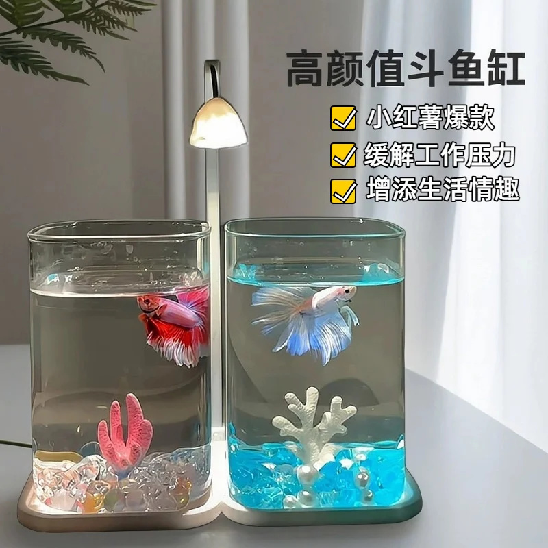 Mini Aquarium de bureau en ver - Betta Fish Tank avis et prix
