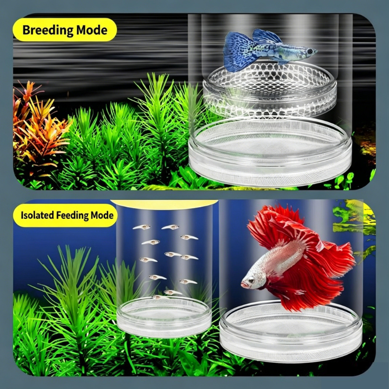 Boîte d'incubation flottante t - Aquarium Fish Betta avis et prix