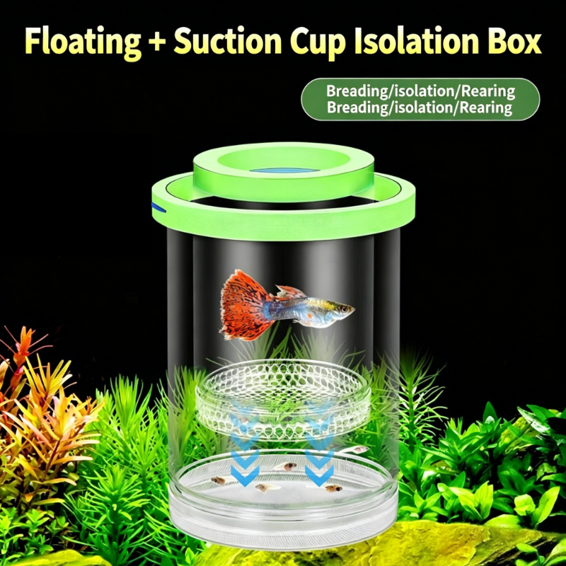 Boîte d'incubation flottante t - Aquarium Fish Betta avis et prix