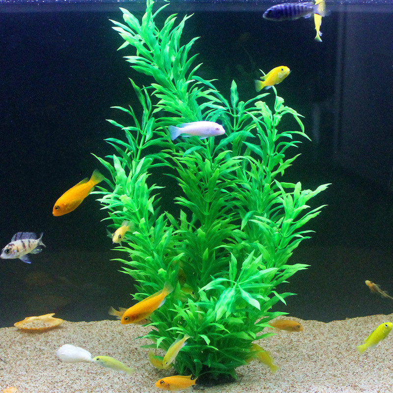Plantes artificielles pour aqu - Fish Aquarium Home avis et prix