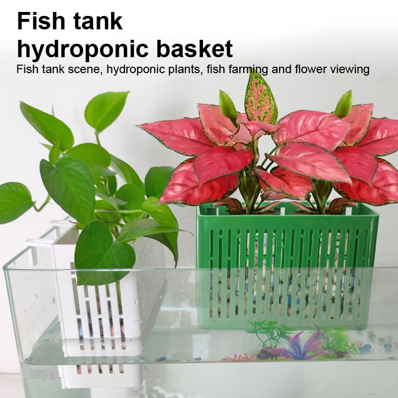 【F】Support suspendu pour aquar - Fish Aquarium Home avis et prix