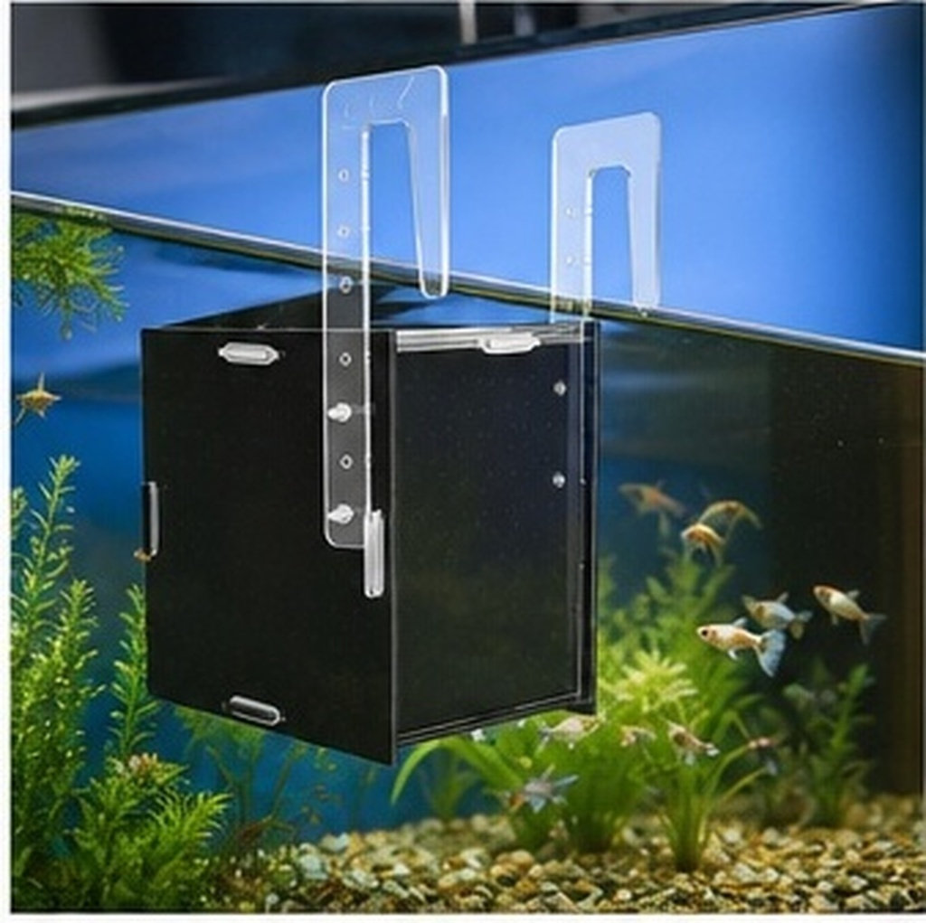 Boîte d'isolement pour l'éleva - Aquarium Fish Betta avis et prix