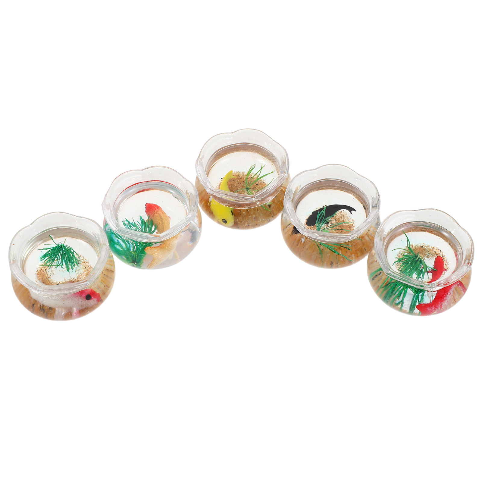 5 pièces, mini-bassin à poisso - Aquarium Plants avis et prix
